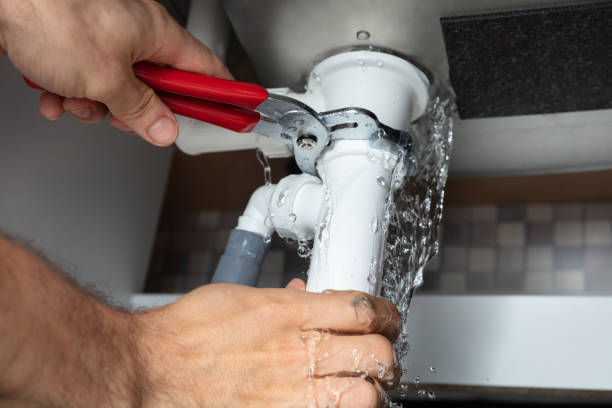 Best Mold removal after water damage  in Towson, MD