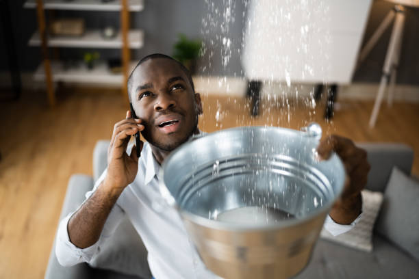 Best Residential water damage restoration  in Towson, MD