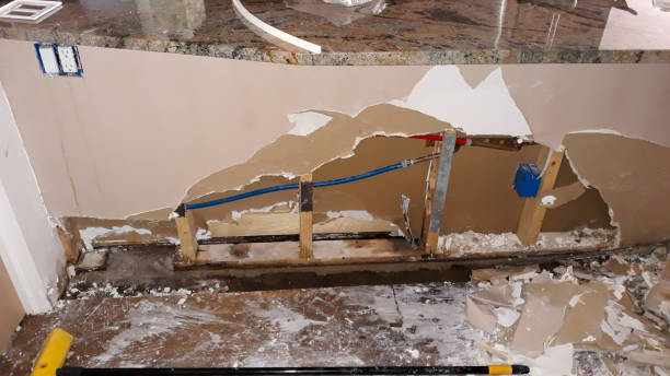 Best Water damage restoration mold remediation  in Towson, MD