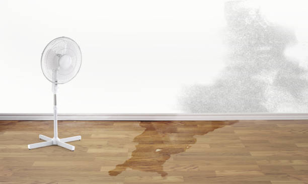 Best Flood damage cleanup  in Towson, MD