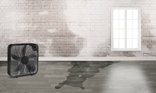 Water damage restoration insurance claims in Towson, MD