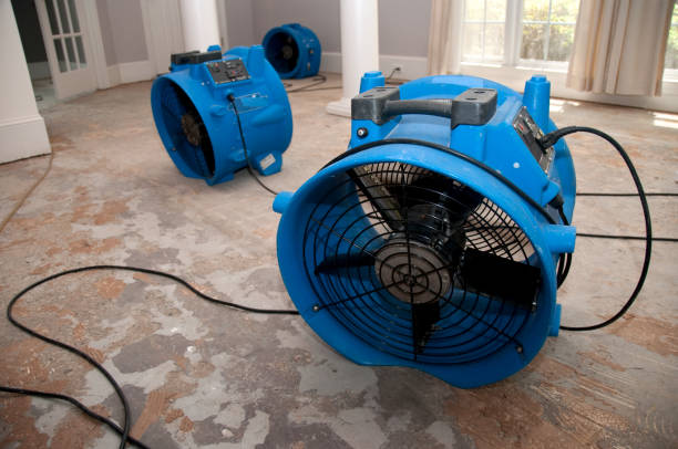 Best Water damage restoration near me  in Towson, MD