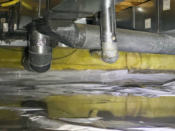 Best Professional water damage repair  in Towson, MD