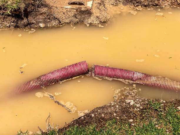 Water damage restoration mold remediation in Towson, MD