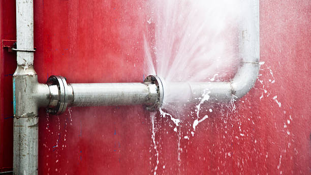 Best Flood restoration services  in Towson, MD