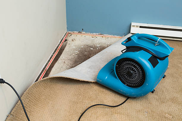 Towson, MD Water damage restoration Company